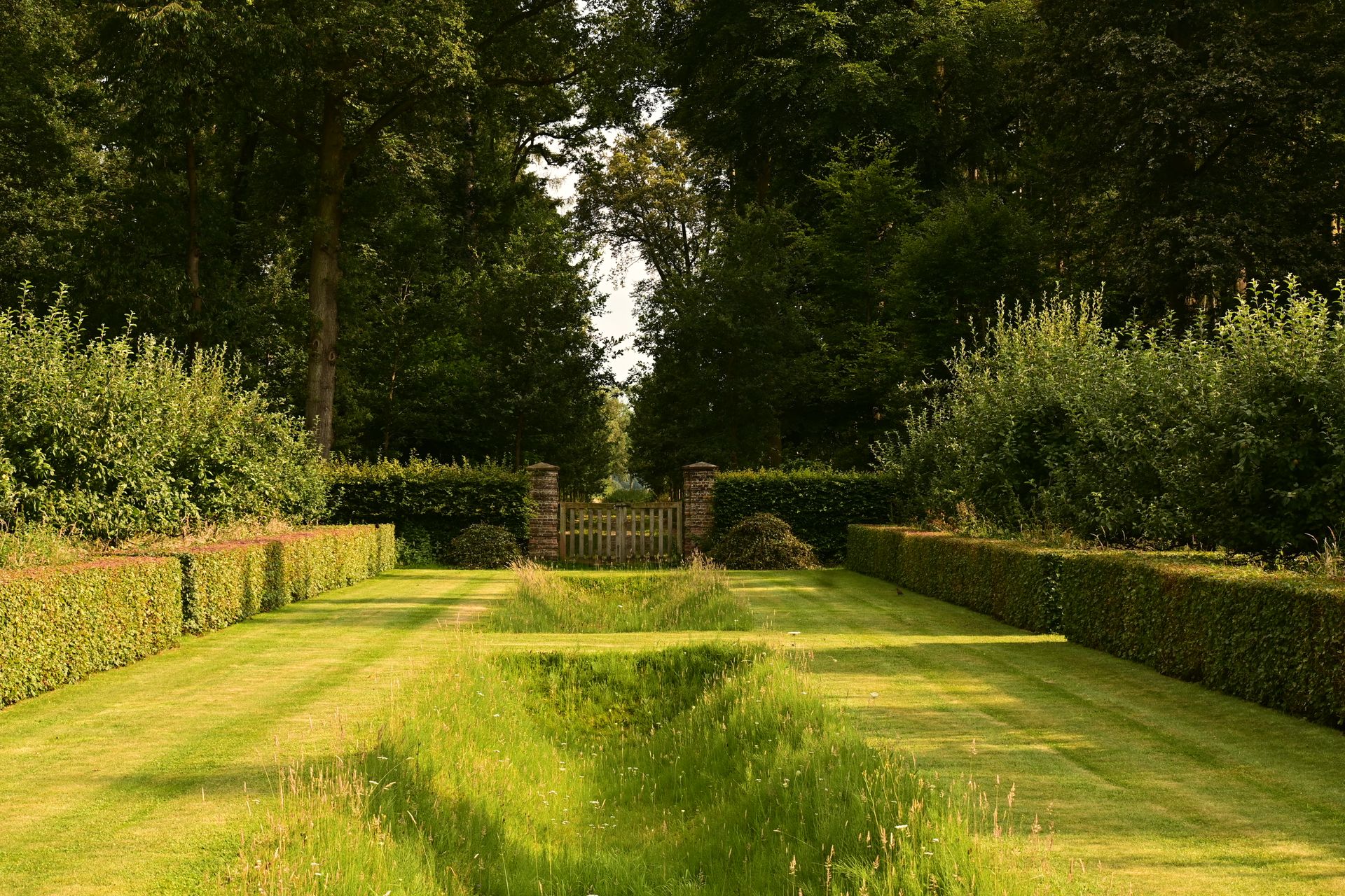 Lawn corridor lined with trimmed hedges